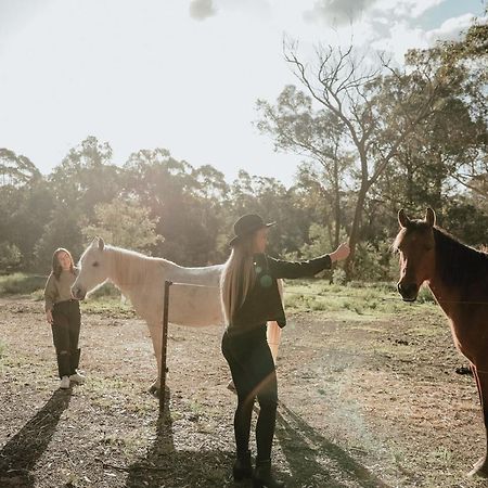 Hunter Valley Retreat Quorrobolong Εξωτερικό φωτογραφία