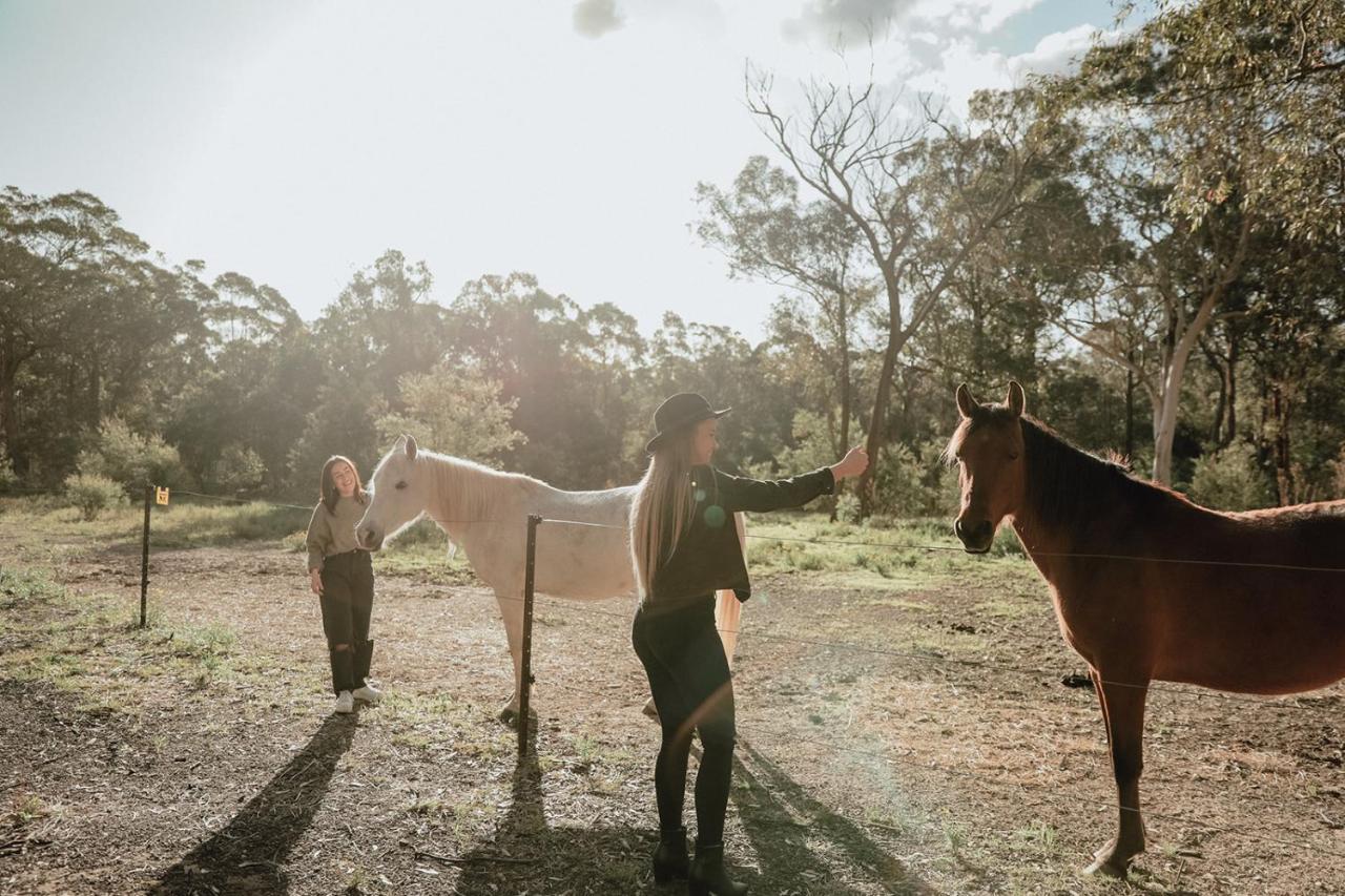 Hunter Valley Retreat Quorrobolong Εξωτερικό φωτογραφία