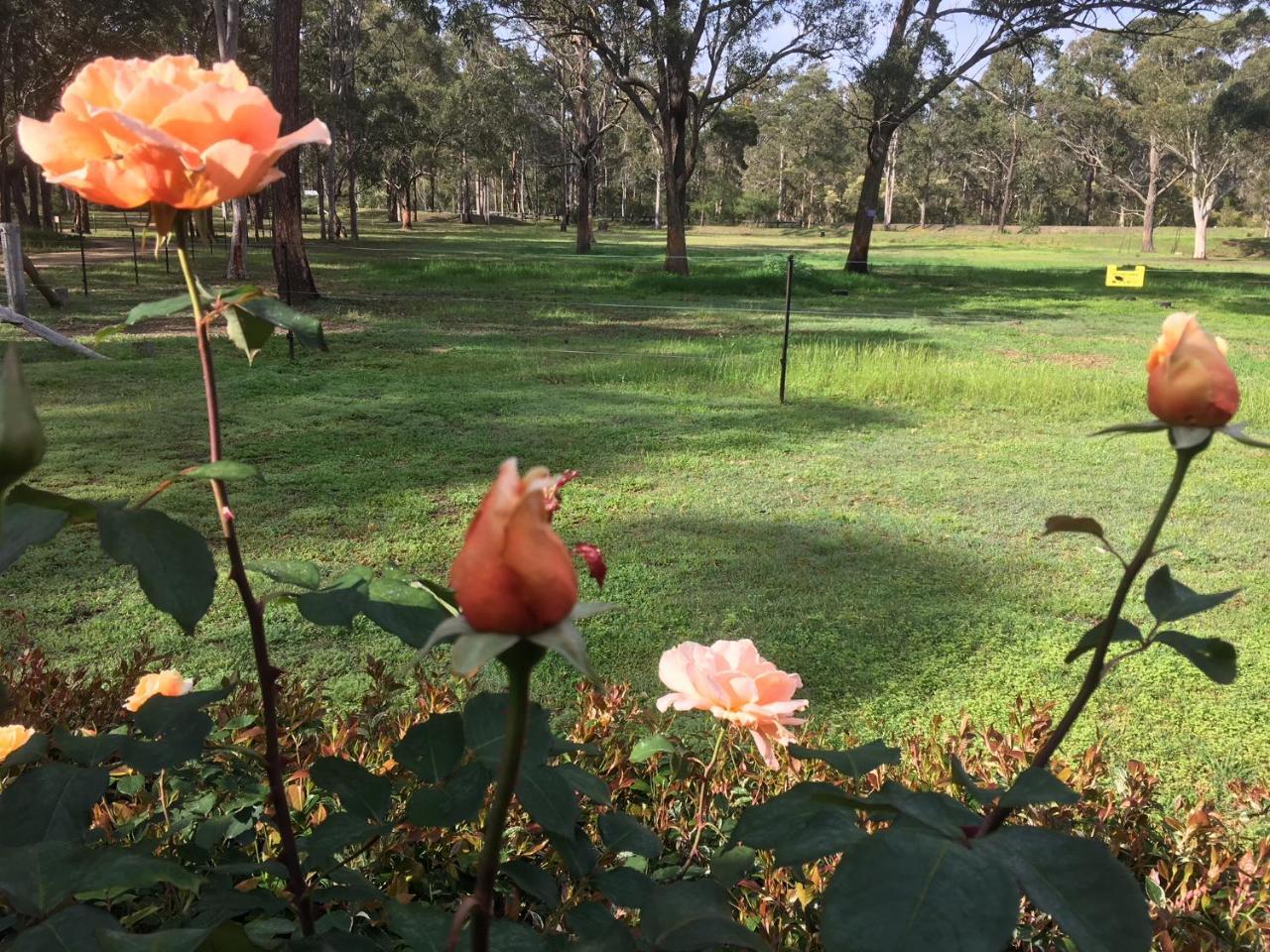 Hunter Valley Retreat Quorrobolong Εξωτερικό φωτογραφία