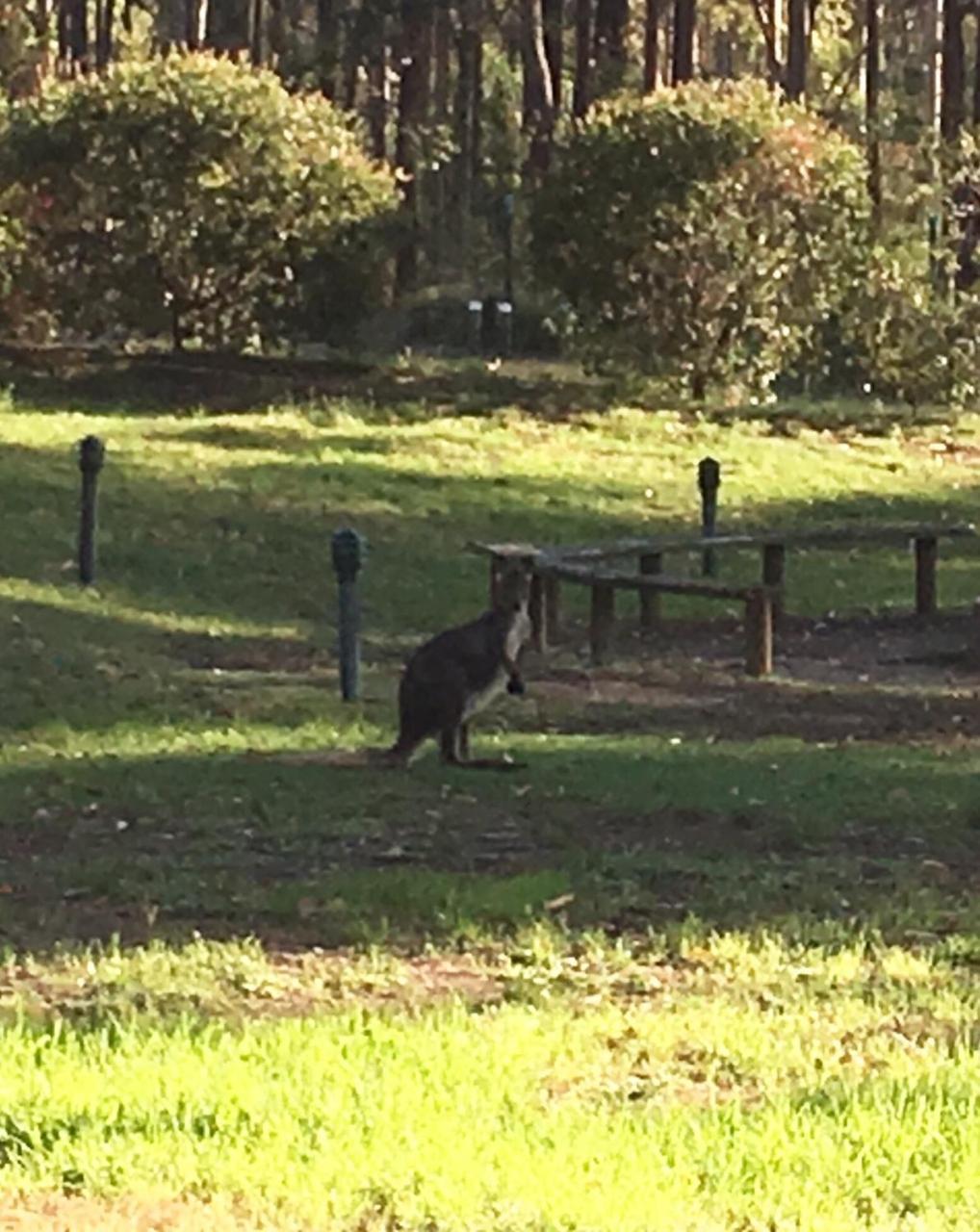 Hunter Valley Retreat Quorrobolong Εξωτερικό φωτογραφία