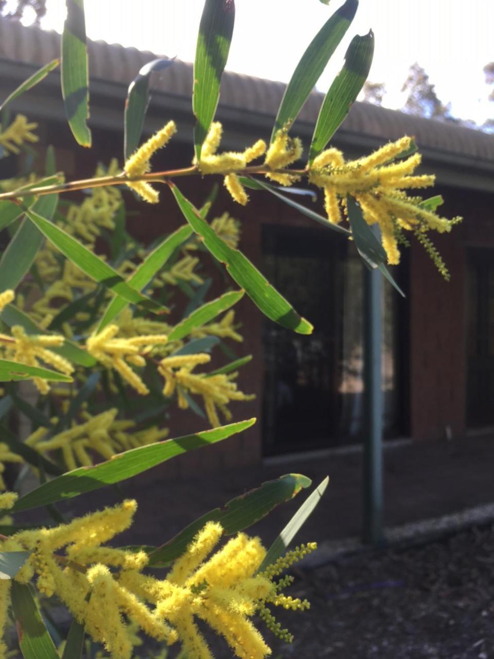 Hunter Valley Retreat Quorrobolong Εξωτερικό φωτογραφία