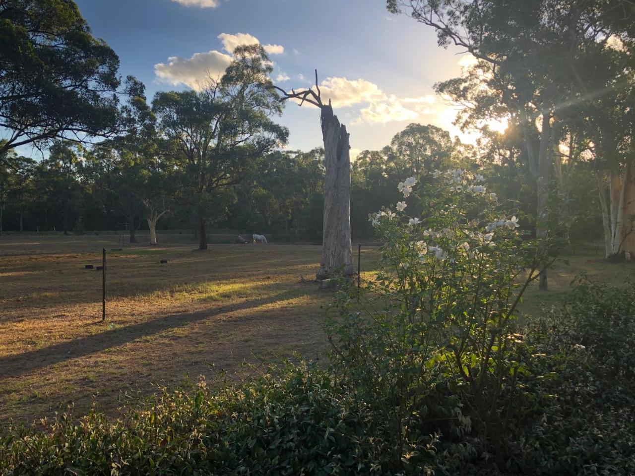 Hunter Valley Retreat Quorrobolong Εξωτερικό φωτογραφία